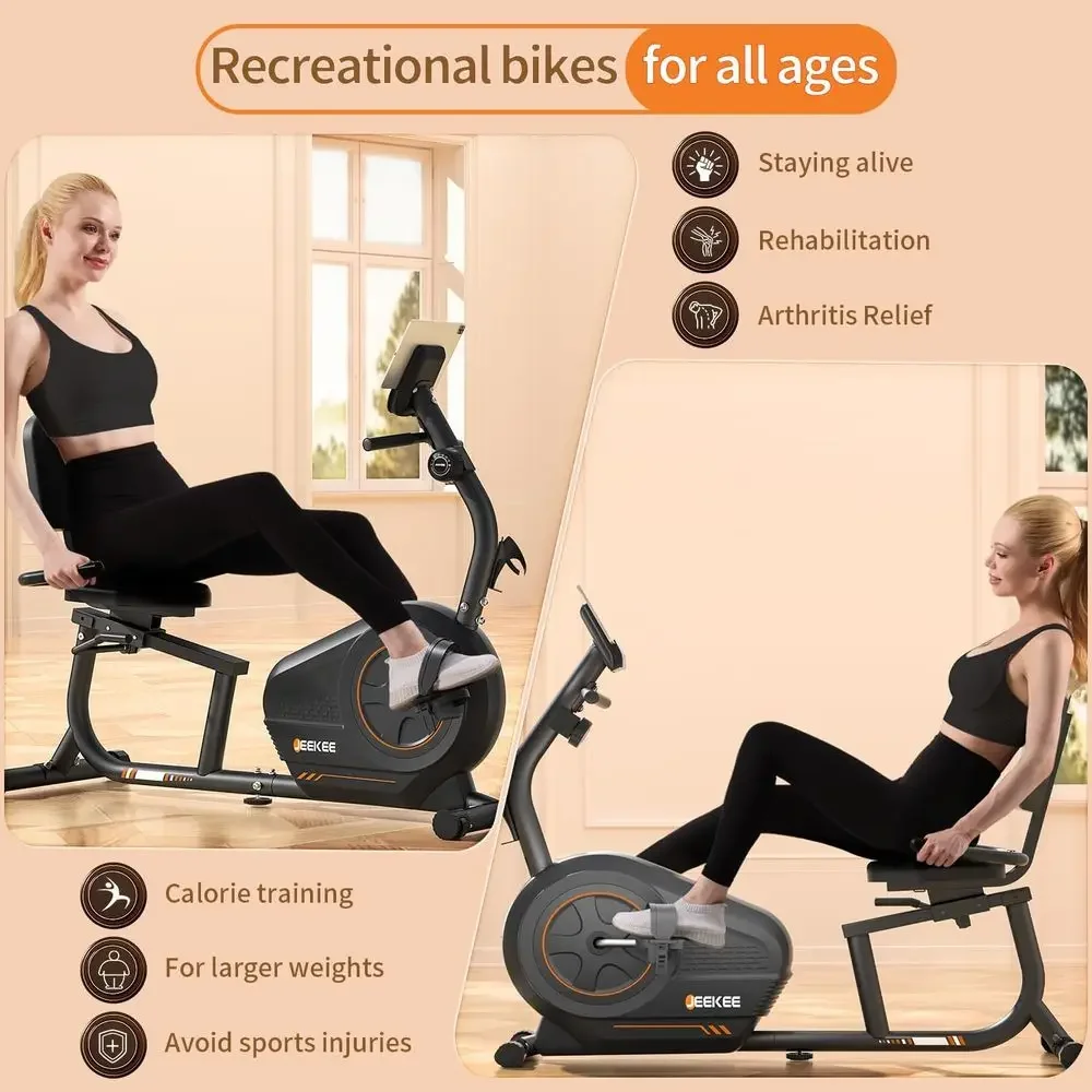 Bicicleta de ejercicio de resi - Exercise Bike Magnetic Resistance reseña y precio